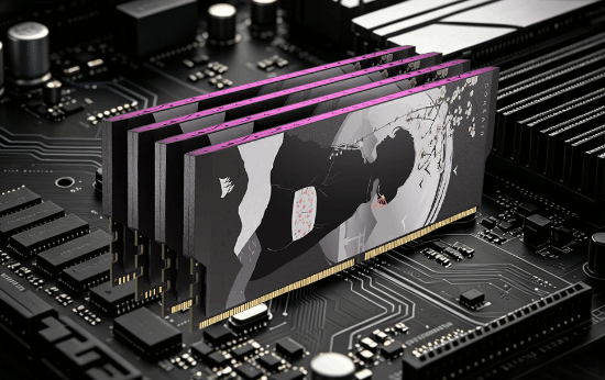 海盗船推出SHUGO DDR5守护者艺术联名版内存条 32GB售价5499元