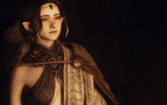 《龙之信条2》DLC