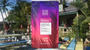 Rockstar与迈阿密Vice City Bean推出GTA 6联名咖啡Leonida