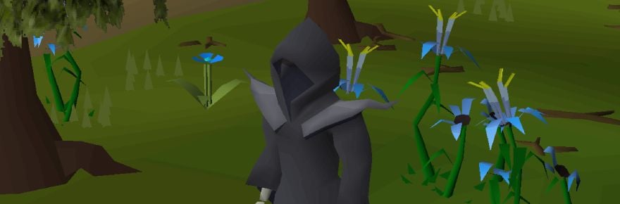 RuneScape公布插件发布节奏，OSRS预览硬核世界
