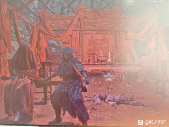 《影之刃零》玩家遇支线卡死BUG：