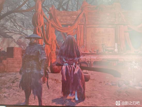 《影之刃零》玩家遇支线卡死BUG：