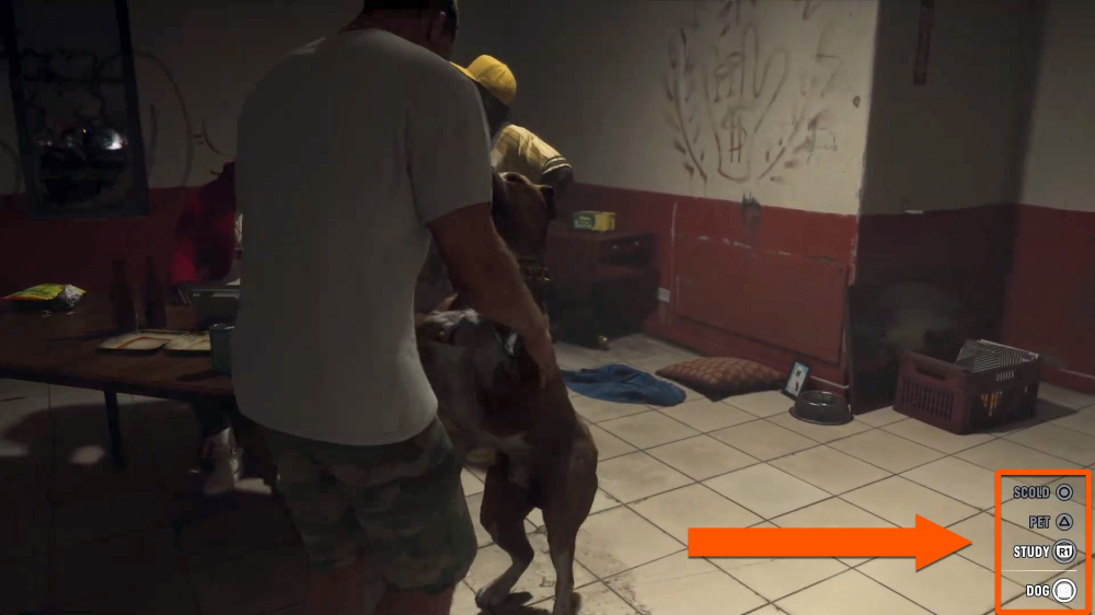 GTA 6确认超过170种动物，含60余种鸟类